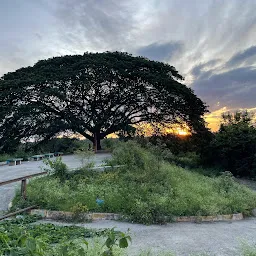 Hesaraghatta Lake Bed