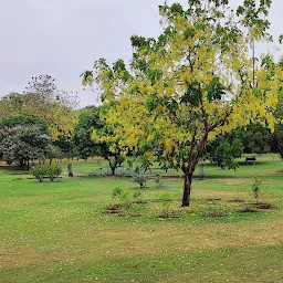 Hibiscus Garden
