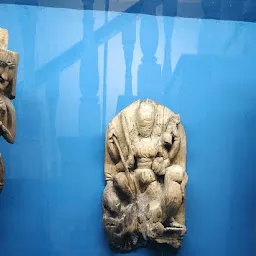 Himachal State Museum