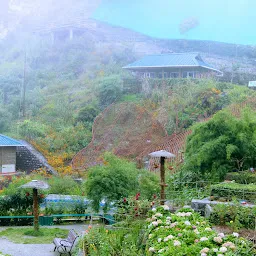 Himalayan Botanical Garden