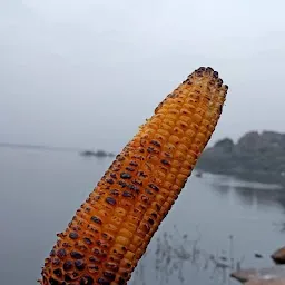 Himayat Sagar View Point