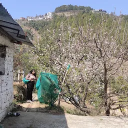 Himview Camp Mukteshwar