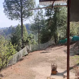 Himview Camp Mukteshwar