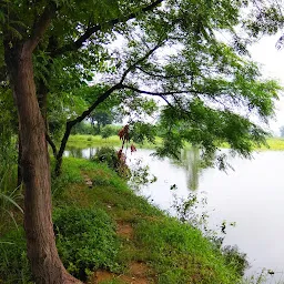 Hindon Eco Park