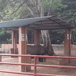 Hippopotamus View Point