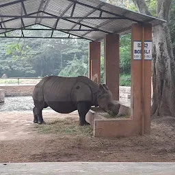 Hippopotamus View Point