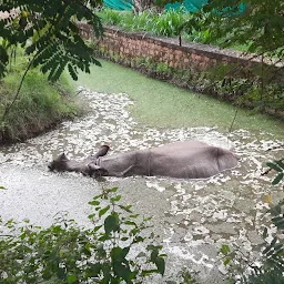 Hippopotamus View Point