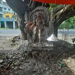 Historical Banyan Tree