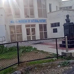 Historical Site Of Old Jammu Station