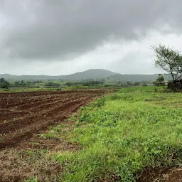 HK Farm naikvadi