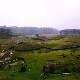 Horticulture Area, Meghalaya Government