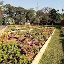 Horticulture Fruit Garden (Ekamra Kanan ).