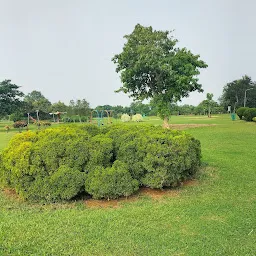 Horticulture Fruit Garden (Ekamra Kanan ).