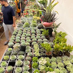 Horticulture Garden, Lalbagh