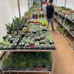 Horticulture Garden, Lalbagh