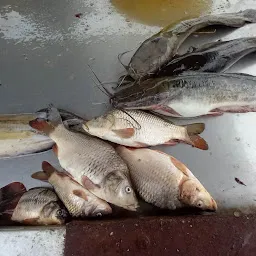 Hoskote Fish Shop