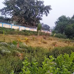 Hospital new garden