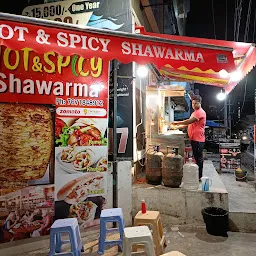 Hot&spicy shawarma
