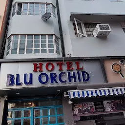 Hotel Blu Orchid, Udaipur