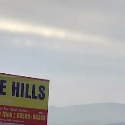 Hotel Divine Hills Shimla