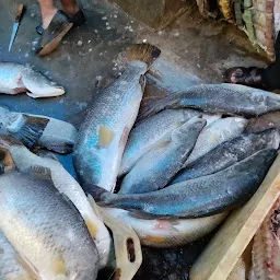Howrah Fish Wholesaler