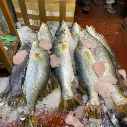 Howrah Fish Wholesaler