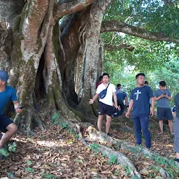 Hriangtlang Bûng