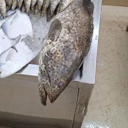 HSR Fresh Fish