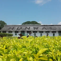 Hunwal Tea Estate