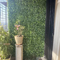 HVT Interiors (Grass, Turf, Lawn, Green Wall, Wall grass, Deck, WPC, Wall Panels)