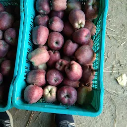 Hyderabad fruit market