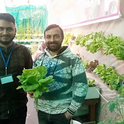 Hydroponic Garden