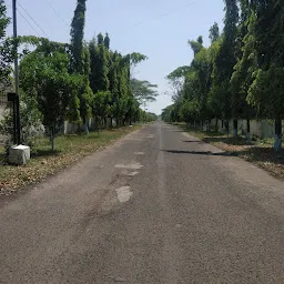 ICAR-Central Citrus Research Institute, Nagpur