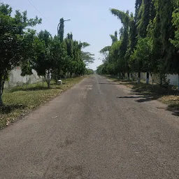 ICAR-Central Citrus Research Institute, Nagpur