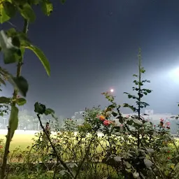 IISER PUNE Cricket Stadium