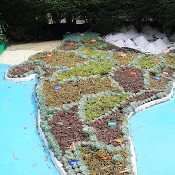 INDIA Map in Flowers