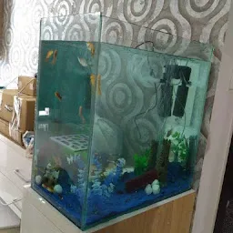 Indian aquarium store