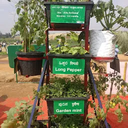 Indian Institute of Horticulture Research Bus Stop