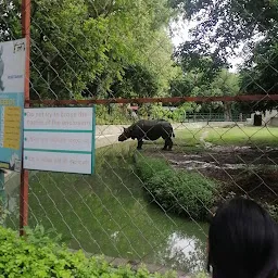 Indian One Horned Rhinoceros zone