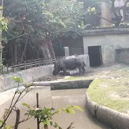 Indian One Horned Rhinoceros zone