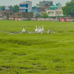 Indian Railway Ground