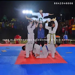 Indo blackdragons taekwondo studio Karnal