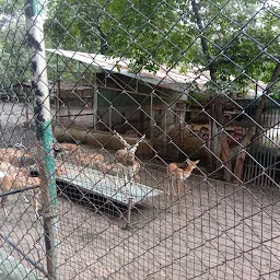 Indore Zoo Park