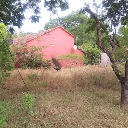 Institute of Forest Genetics and Tree Breeding (IFGTB)