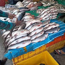 Irfan Fish business