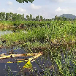 Ishok chingphu