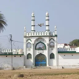 जामा मस्जिद दीनदयाल नगर