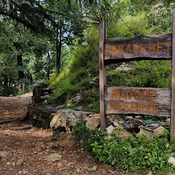 Jabarkhet Nature Reserve, Mussorie