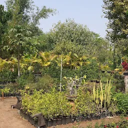 Jagdishbhai Palsana RADHE Nursery Amreli