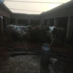 Jaggi Dairy Farm